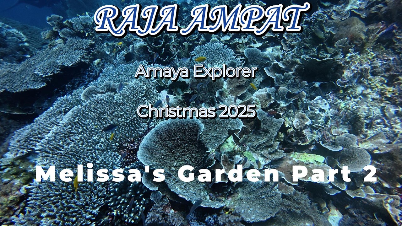 Raja Ampat Melissa Garden Part 2 4K