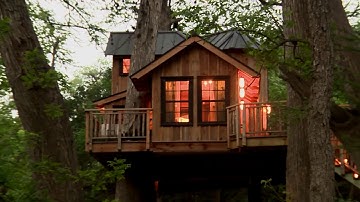 Treehouse Utopia