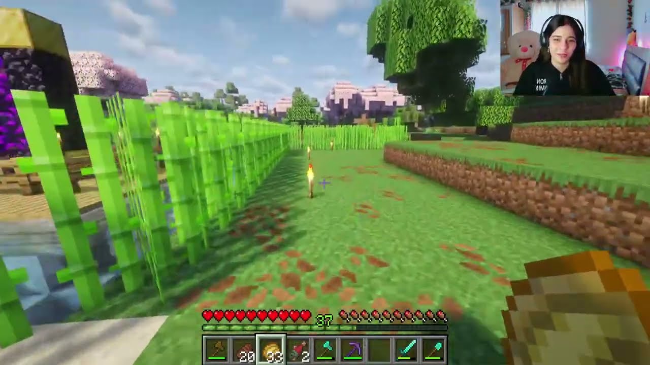 MINECRAFT || Ajj banayenge Farm and Modern house