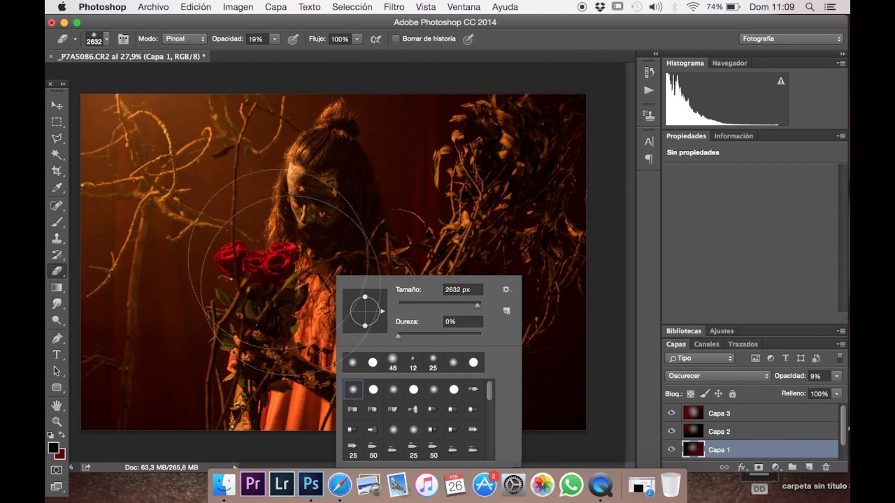 DPFM - Still Life - SPEED EDIT