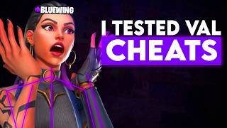 I Tested The BEST Valorant Cheats For The First Time... The Results Were Insane