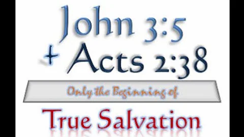 Roger Perkins "The Biblical Plan of Salvation"