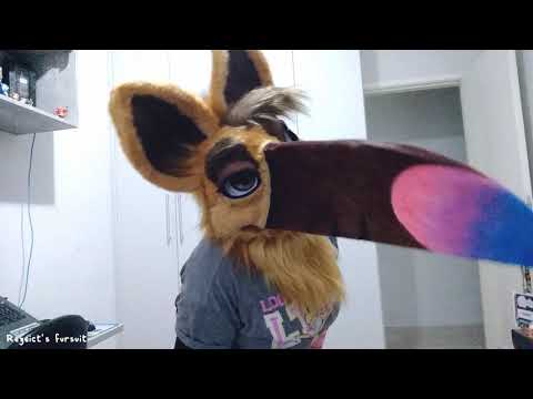 My first fursuit video