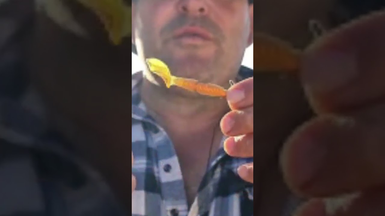 Soft Plastic SECRET fishing tip - use Super Glue 