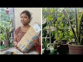 ইচ্ছা থাকলে সব সম্ভব। স্বপ্নেও ভাবিনি এটা আমি করতে পারব 🤑 “Bangla Vlog [ Daily Life ]