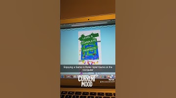 Enjoying a Game is Roller Splat Game on the Computer