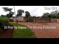 Dr prof ba napsa the moving dictionary ours 10 gallons of english grammar on young couple