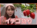 苺狩りに行ってきました！ひびやんとね♪