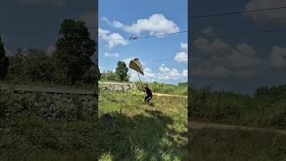 This animal is very difficult to catch #shortvideo