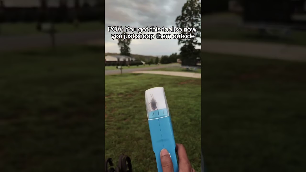 This bug catcher is a must-have for every household!