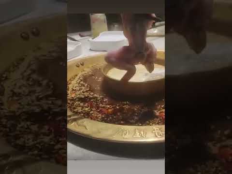 Video frog hot pot #shorts - youtube