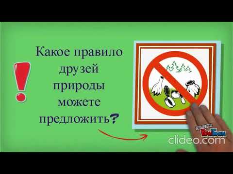 Занятие по теме "правила поведения в природе"