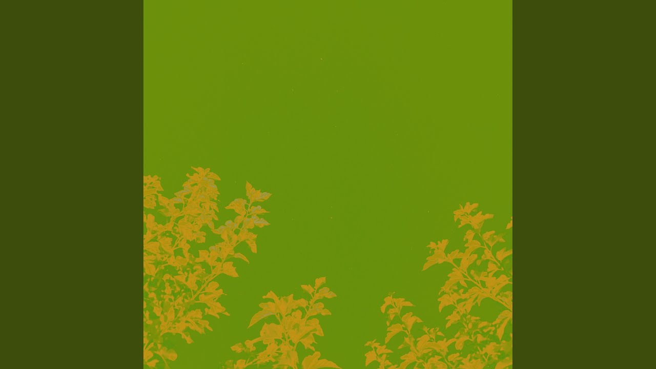 Watch Loop Cassette (1) on YouTube Watch Loop Cassette (1) on YouTube