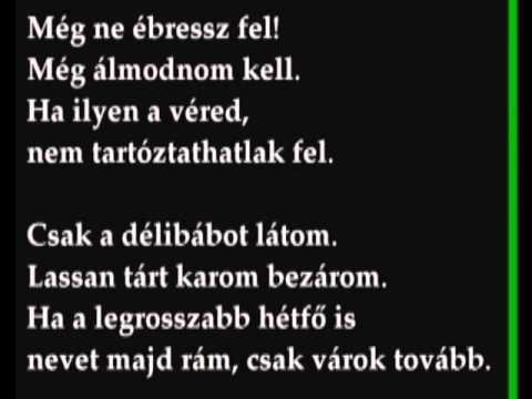 Zanzibár - Délibáb
