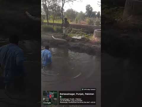 Illegal Pipe Removed from Jalwala Distry |⚖️💧 | Sadiqia Canal Division, Bahawalnagar