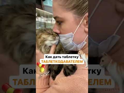 Как дать таблетку
