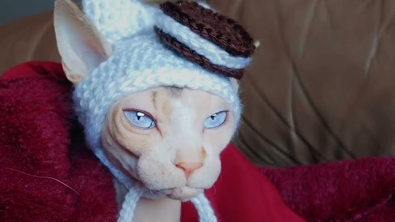  OREO "The Playlist" :15  - #110YearsOfPlay 
Be the play you want to see.