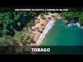 Discovering tobago  a month in paradise 4k