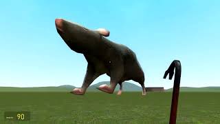 i did random stuff in gmod