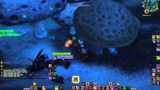 vignette SMV 02 Mushroom Covered Chest