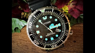 Citizen Promaster Eco-Drive Long Term Review (BN0150-28E Dive Watch)