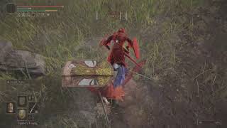 ELDEN RING Has Some Bad PvP Players
