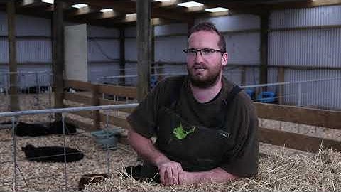 Lifetime animal traceability starts with calving