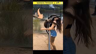 “3 Dangerous Animals of the Amazon” #shorts #youtubeshorts #short