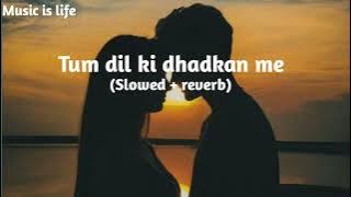 Download lagu Tum Dil Ki Dhadkan Mein (Slowed reverb)|Abhijeet Bhattacharya,alka yagnik |Music is life#lofisong