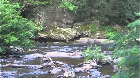 lynyrd skynyrd  all i can do is write about it