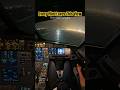 Every Pilot Loves This View #airbus #aviation #landing