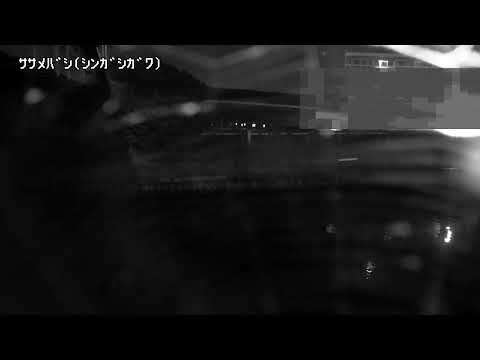 Shingashi River Sasame Bridge live cam preview