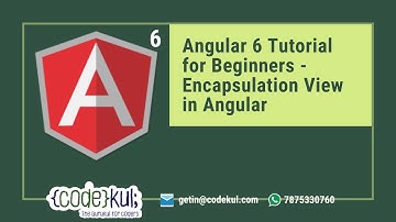 Angular 6 Tutorial for Beginners -  Encapsulation View in Angular