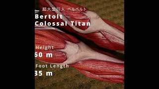 aot size comparison #a #anime #aot #attackontitan #edit #viral #shorts