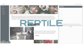 Reptile - Dynamic Content Builder