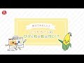 とうもろこしのひげと粒の数は同じ!? 『給食ニュース』No.1738より