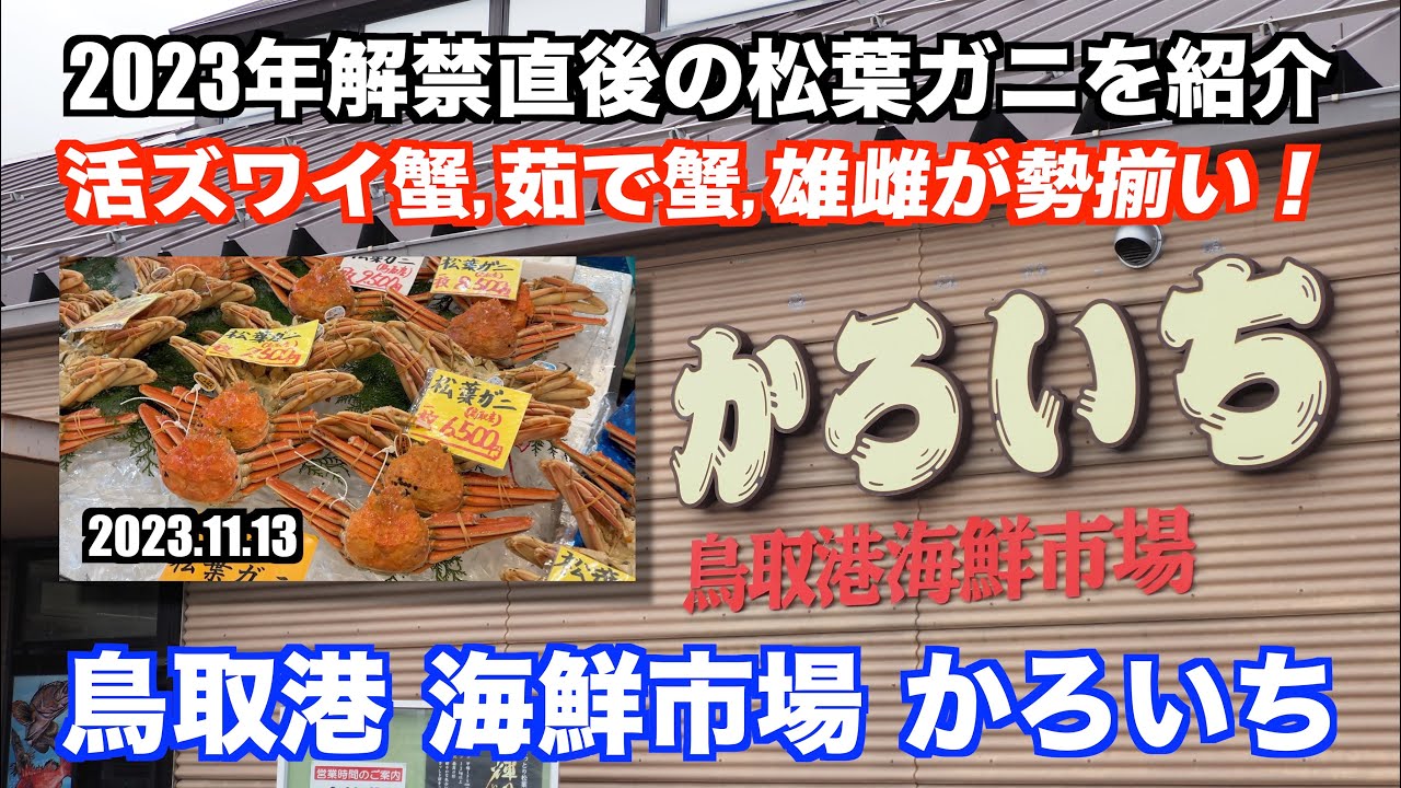 【鳥取港海鮮市場かろいち 2023年解禁直後の松葉ガニを紹介 活蟹,茹蟹,雄雌が勢揃い】あばお 海鮮ちゃんねる #137 2023.11.13