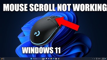 How To Fix Mouse Scroll Not Working on Windows 11 Solved