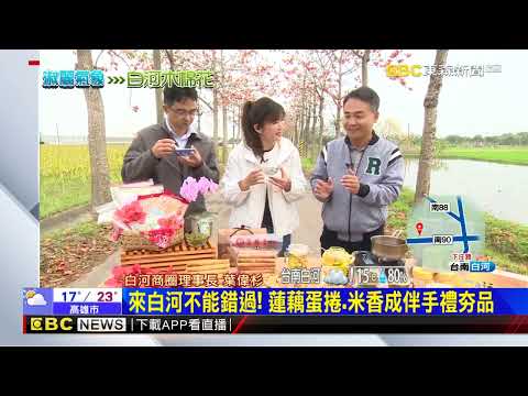 氣象趴趴GO X賞花要趁早！近六年最佳花況 白河木棉花滿開 @newsebc