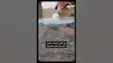 من تخلي اصبعك بالحبر تذكر هذة الآية الكريمة