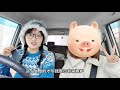朋友来北海道找我玩be like: