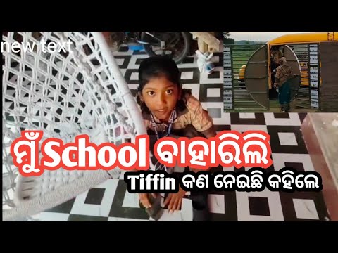 ମୁଁ ସ୍କୁଲ ବାହାରିଲି, Tiffin କଣ ନେଇଛି 🔥🔥 ? abha mama baba
