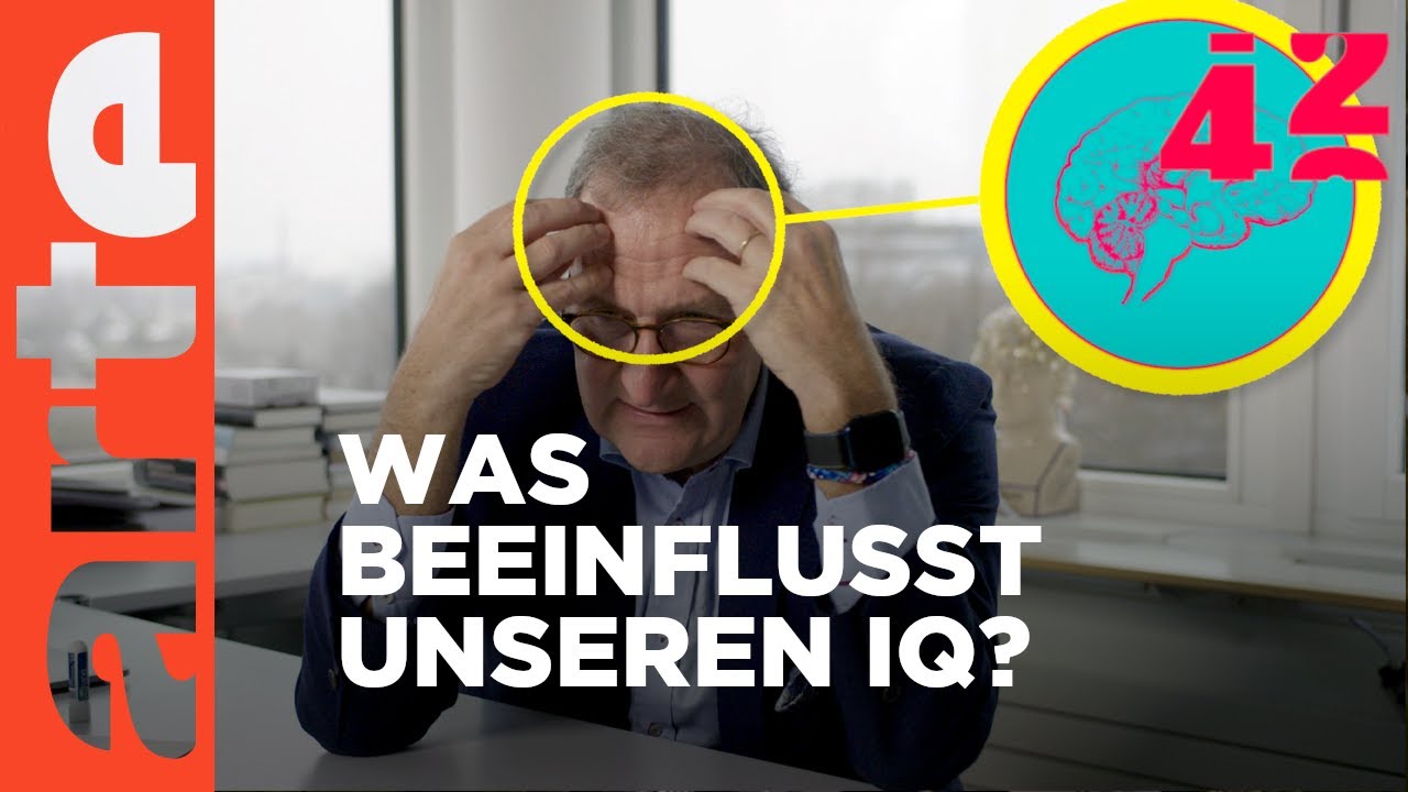 Werden wir immer dümmer? | 42 - Die Antwort auf fast alles | ARTE