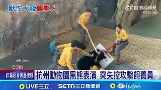 杭州動物園黑熊表演 突失控攻擊飼養員 網瘋傳人熊扭打片 園方解釋熊想吃胡蘿蔔｜三立新聞網 SETN.com