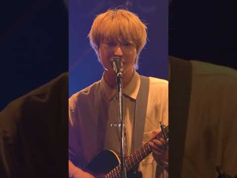 #Sakurashimeji「ただ君が」- LIVE CLIP③from Sakurashimeji Live Tour 2025「唄と謳」#who #ライブ  #邦ロック #ギター #音楽 #バンド