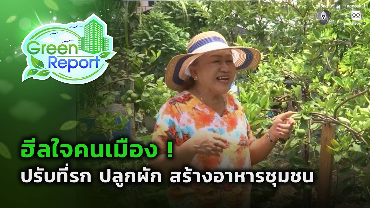 ฮีลใจคนเมือง ! ปรับที่รก ปลูกผัก สร้างอาหารชุมชน | Green Report