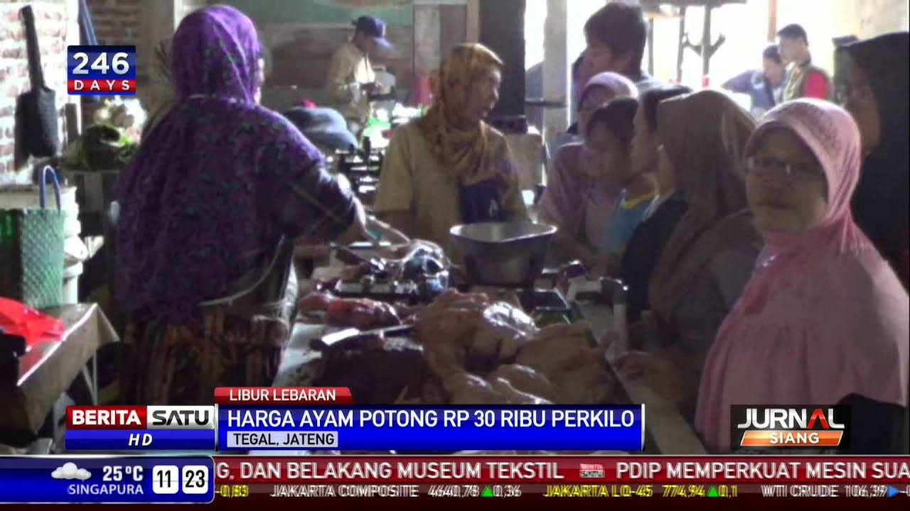  Harga  Ayam Potong Rp 30 Ribu Per  Kilo  YouTube