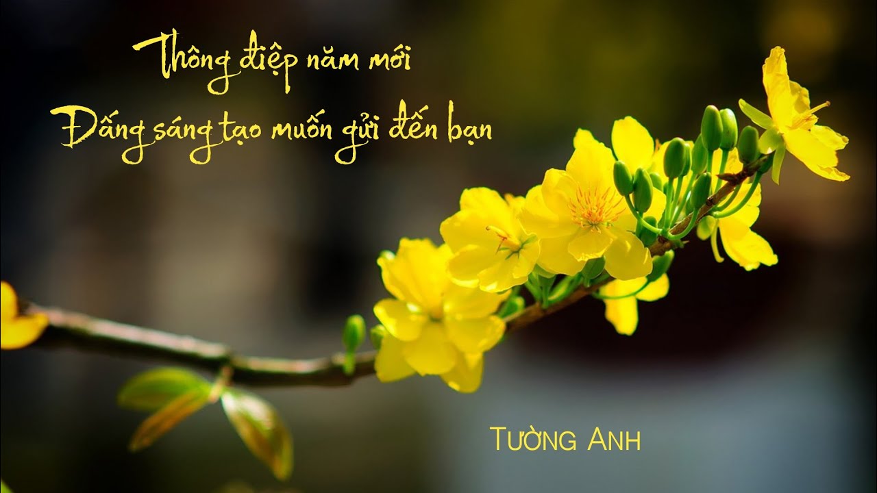 Thông điệp Năm mới 🧧 Đấng sáng tạo muốn gửi đến bạn 🌿 (không chọn tụ & Timeless)