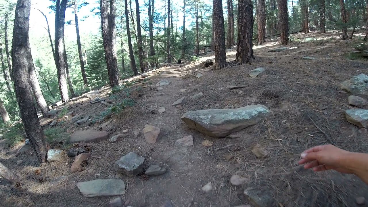 Faulty Trail, New Mexico 1-Sandia Mountains, Cibola National Forest