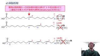 栄養学elementary(9) 脂質の種類